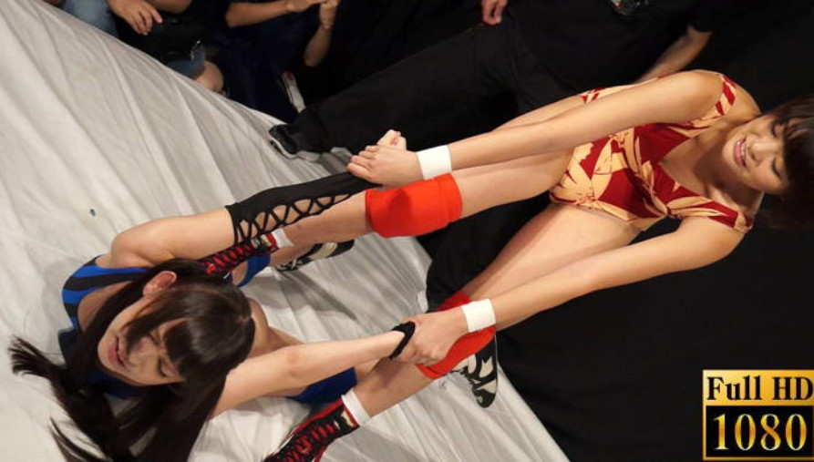 キャットファイト,吉田花,赤木ゆう,夏目エレナ,篠宮桜良