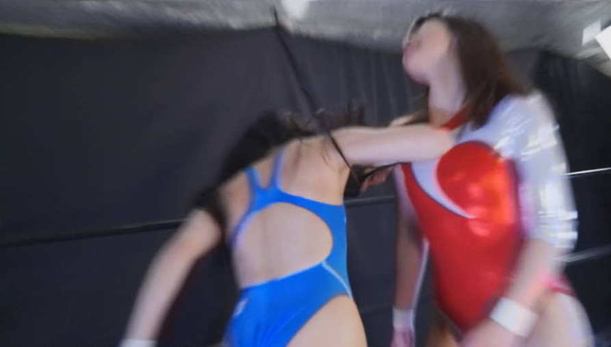 新垣ひとみ,南瀬奈,キャットファイト,プロスタイル,動画