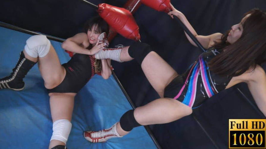 葵紫穂,逢沢はるか,キャットファイト,熟女,動画