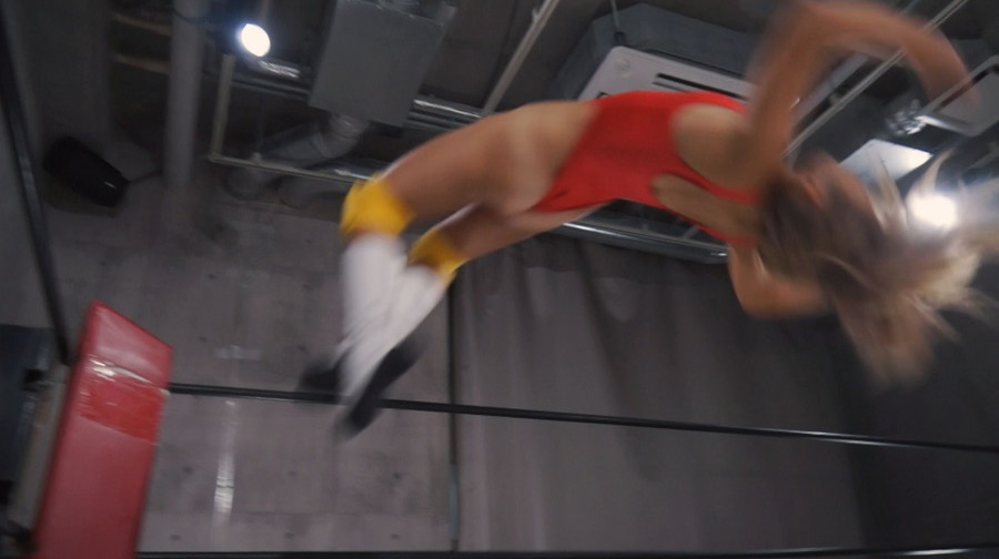 豊中アリス,キャットファイト,ミックスファイト,まとめ,画像