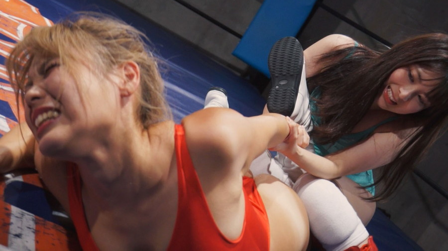 豊中アリス,キャットファイト,ミックスファイト,まとめ,画像